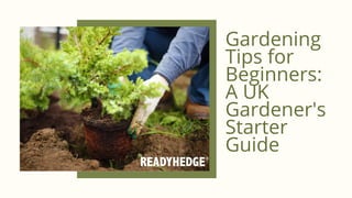 Gardening
Tips for
Beginners:
A UK
Gardener's
Starter
Guide
 