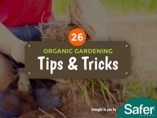 26 Organic Gardening Tips and Tricks
brought to you by Safer Brand.
 
