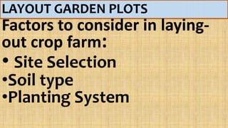 garden Layout.pptx