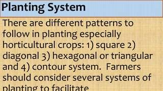 garden Layout.pptx