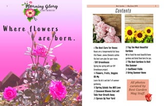 Best Garden >> May/June 2019			 3
Contents
4 The Best Care for Roses
Roses are a tempermental but beau-
tiful flower, Janine Clements outline
the best care plan for your roses.
7 DIY Greenhouse
Spring has spring with our DIY
Greenhouse project.
14 Flowers, Fruits, Veggies
Oh My
Learn the do’s and don’t of summer
gardening.
16 Spring Salads You Will Love
20 Seasonal Blooms that will
Take Your Breath Away
24 Spruce Up Your Yard
28 Top Ten Most Beautiful
Gardens
We’ve found the most beautiful home
gardens and listed them here for you.
32 The Best Gardens to Visit
This Summer
34 Sunflower Fields
38 Bring Summer Home
2			
 