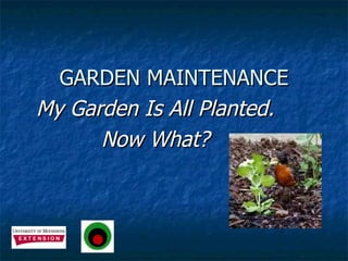 GARDEN MAINTENANCE My Garden Is All Planted. Now What? 