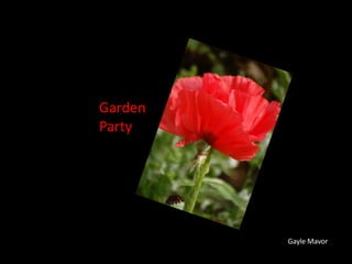 Garden
Party
Gayle Mavor
 
