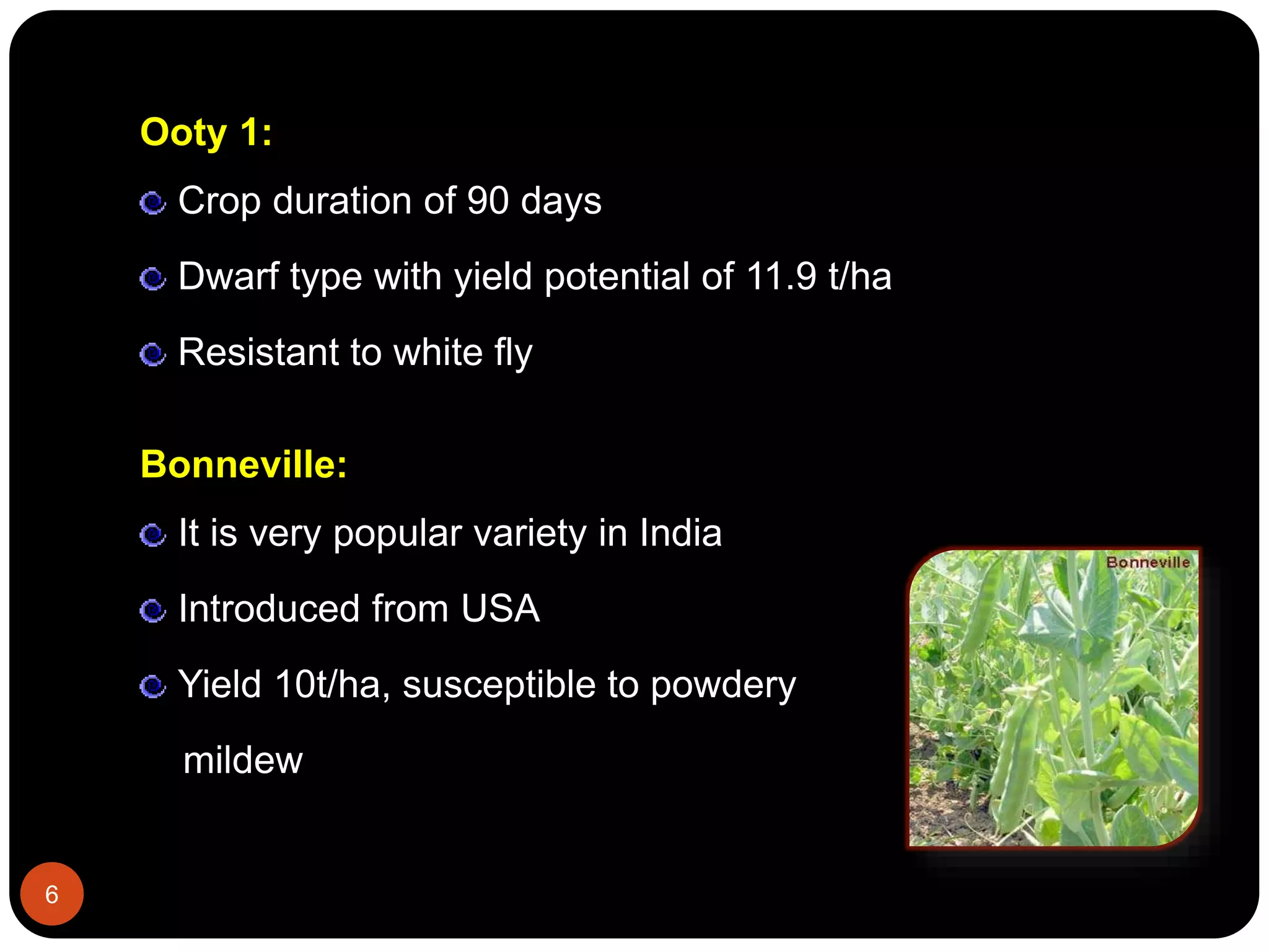 Ooty 1:
Crop duration of 90 days
Dwarf type with yield potential of 11.9 t/ha
Resistant to white fly
Bonneville:
It is very popular variety in India
Introduced from USA
Yield 10t/ha, susceptible to powdery
mildew
6
 