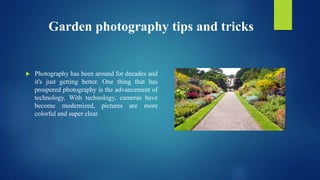 Garden photography tips and tricks
 Photography has been around for decades and
it's just getting better. One thing that has
prospered photography is the advancement of
technology. With technology, cameras have
become modernized, pictures are more
colorful and super clear.
 