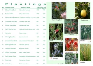 P         l       a         n          t       i       n         g           s
No. Common name                     Botanical Name                 Full Grown Size
                                                                   Height mm   Width mm
1    Albany Woolly Bush         Adenanthos Sericens                2000         2500


2    Eureka Lemon               Citrus Limon eureka                3000         4000


3    Dawson River Bottlebrush Callistemon viminallis ‘Dawson River’ 4000        6000                                   1             2
                                                                                              Albany Woolly Bush                               Eureka Lemon
4    Coprosma ‘Karo Red’        Coprosma ‘Karo Red’                400          400


5    Correa ‘Dusky Bells’       Correa ‘Dusky Bells’               800          800


6    Red Flowering Gum          Corymbia ficifolia ‘Summer Red’    6000         10000


7    Native Iris                Dietes irioides                    800          800
                                                                                                                           Callistemon   3
8    Whirling Butterflies       Gaura leuhmannii                   1000         1000


9    Leucadendraon Gold         Leucadendraon ‘Winter Gold’        800          1000      Correa              5                              Native Iris
                                                                                                                                                              7
10   Seascape Mat-rush          Lomandra seascape                  400          400
                                                                                                                                                              11

11   Creeping Boobialla         Myoporum insulare                  2000         300


12   Granny Smith Apple         Malus ‘Granny Smith’               3000         4000                                 Leucadendraon       9

13   Red Fountain Grass         Pennisetum officinalis purpureum 1000           1000
                                                                                           14 Rosemary
14   Rosemary                   Rosmarinus officinalis             600          600

                                                                                                                                             Lomandra
15   Lambs Ears                 Stachys byzantina                  200          200
                                                                                                     15 Lambs Ears
 