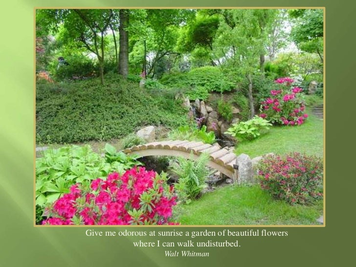 garden powerpoint garden powerpoint