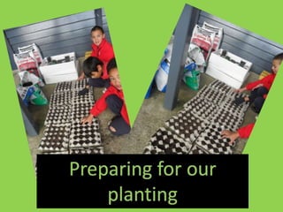 Preparing for our planting 