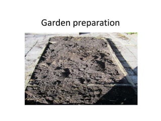 Garden preparation
 