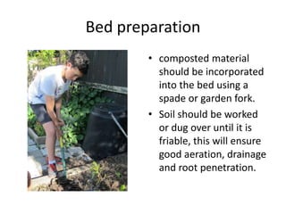 Bed preparation
        • composted material
          should be incorporated
          into the bed using a
          spade or garden fork.
        • Soil should be worked
          or dug over until it is
          friable, this will ensure
          good aeration, drainage
          and root penetration.
 