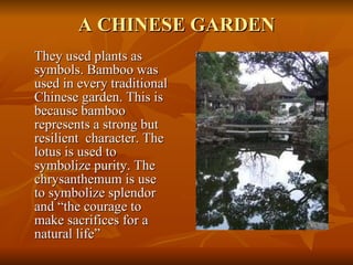 A CHINESE GARDEN They used plants as symbols. Bamboo was used in every traditional Chinese garden. This is because bamboo represents a strong but resilient  character. The lotus is used to symbolize purity. The chrysanthemum is use to symbolize splendor and “the courage to make sacrifices for a natural life” 