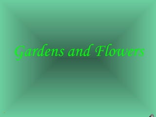 Gardens and Flowers 