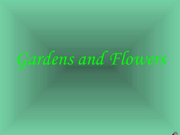 Gardens and Flowers 