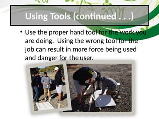 Thinking Safe and Green: Essential Garden Safety and Tool Use Practices ...