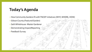 Today’s Agenda
• How Community Gardens fit withTNCEP initiatives (WHY,WHERE, HOW)
• Gibson County (Featured Garden)
• Seth Whitehouse- Master Gardener
• Demonstrating Impact/Reporting
• Feedback Survey
 