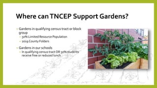 Where canTNCEP Support Gardens?
• Gardens in qualifying census tract or block
group
• 50% Limited Resource Population
• 2019 County Folders
• Gardens in our schools
• In qualifying census tract OR 50% students
receive free or reduced lunch
 