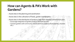 How can Agents & PA’s Work with
Gardens?
• Assist sites in the planning and coordination
• Assist sites in the cultivation of foods, garden maintenance
• Assist sites in the distribution of produce, help them develop a distribution plan
• Encourage integration of garden produce into food services
• Connect gardens with community sites to distribute produce (food pantries, churches
etc.)
 