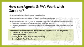 How can Agents & PA’s Work with
Gardens?
• Assist sites in the planning and coordination
• Assist sites in the cultivation of foods, garden maintenance
• Assist sites in the distribution of produce, help them develop a distribution plan
• Encourage integration of garden produce into food services
• Connect gardens with community sites to distribute produce (food pantries, churches
etc.)
• Connect nutrition education and otherTNCEP resources to the garden
• Learn Grow Eat and Go (3rd – 5th)
• Tasty Days (Youth)
• Grow it,Try it, Like it (Preschool Curriculum)
• Grow it, Eat it (Adult Handouts)
 