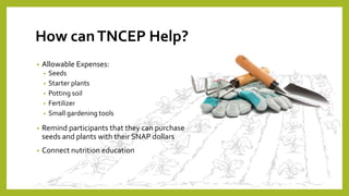 How canTNCEP Help?
• Allowable Expenses:
• Seeds
• Starter plants
• Potting soil
• Fertilizer
• Small gardening tools
• Remind participants that they can purchase
seeds and plants with their SNAP dollars
• Connect nutrition education
 