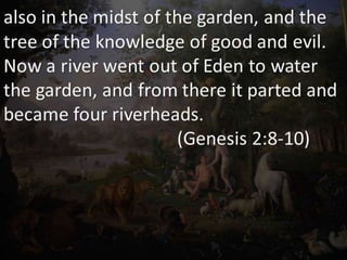 Gardens Of The Bible