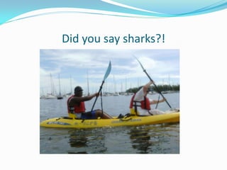 Did you say sharks?!
 