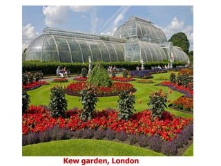 Kew garden, London
 