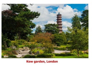 Kew garden, London
 
