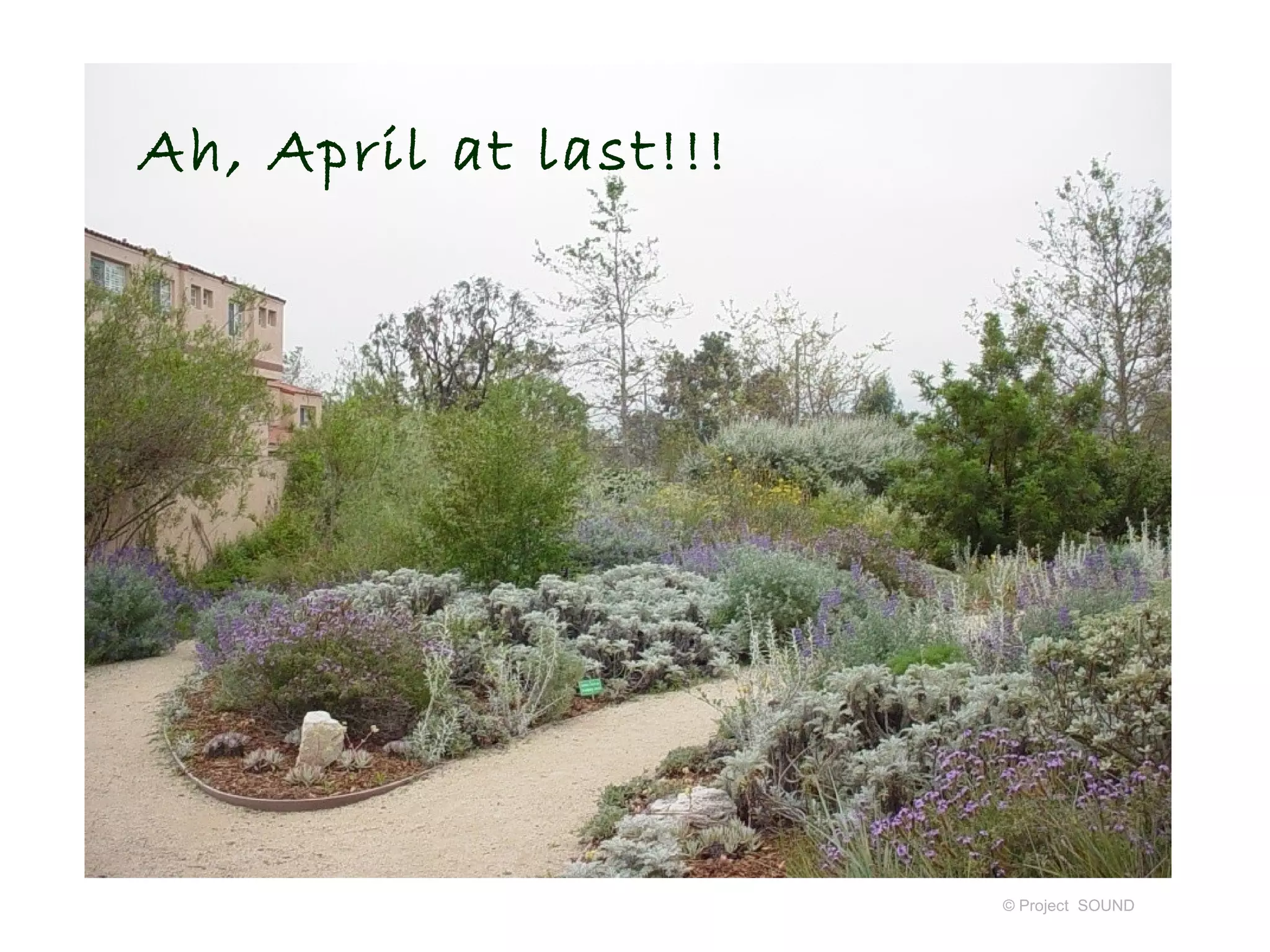 Ah, April at last!!!




                       © Project SOUND
 