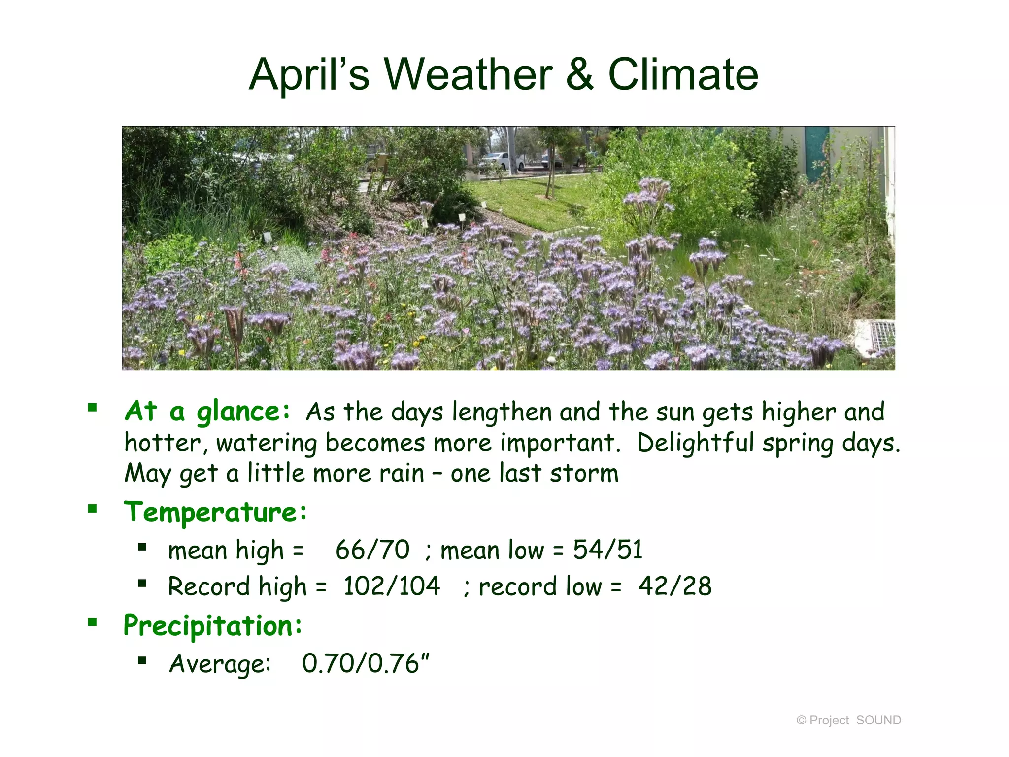 April’s Weather & Climate




 At a glance: As the days lengthen and the sun gets higher and
  hotter, watering becomes more important. Delightful spring days.
  May get a little more rain – one last storm
 Temperature:
    mean high = 66/70 ; mean low = 54/51
    Record high = 102/104 ; record low = 42/28
 Precipitation:
    Average:    0.70/0.76”

                                                         © Project SOUND
 