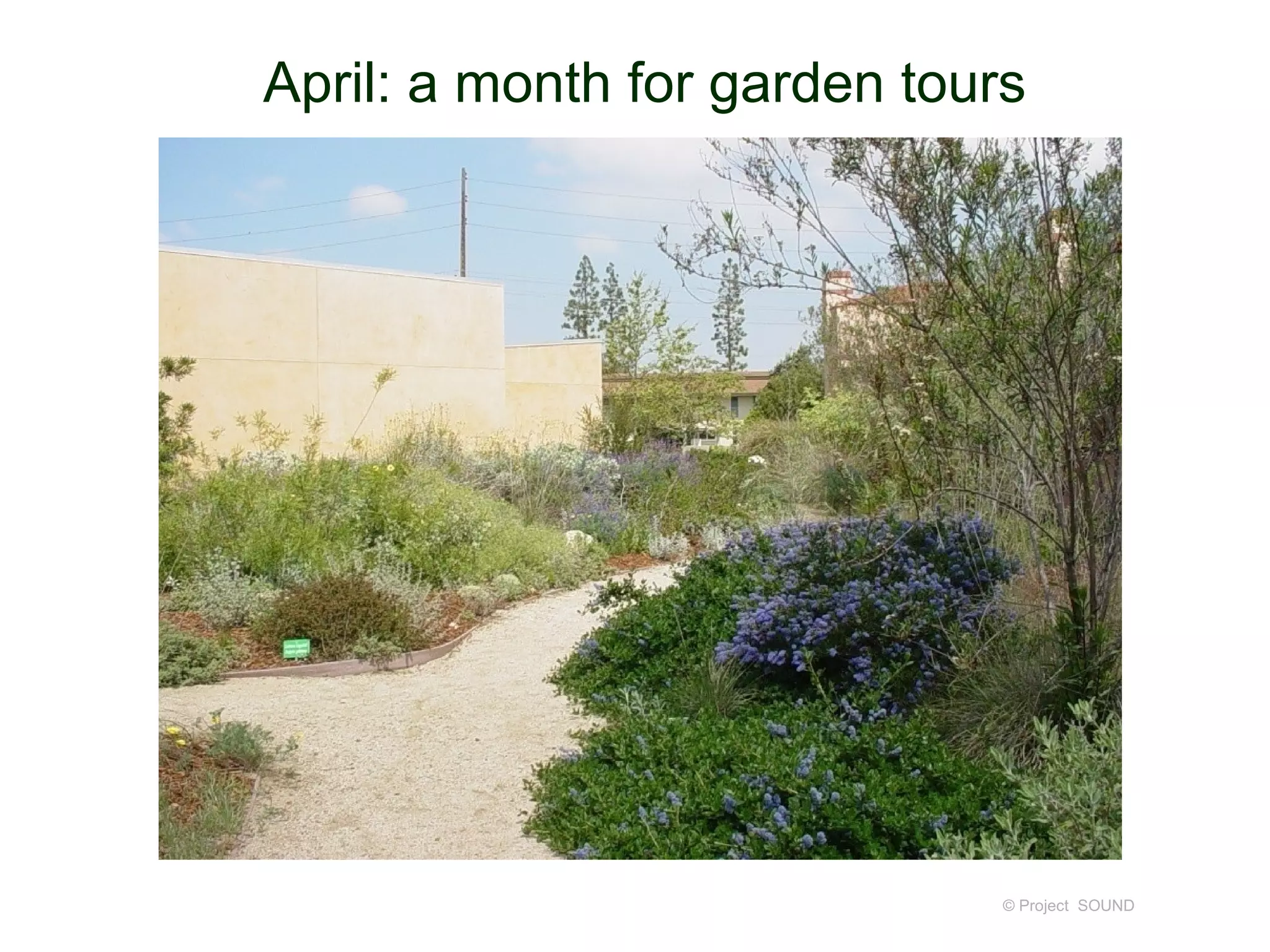 April: a month for garden tours




                              © Project SOUND
 