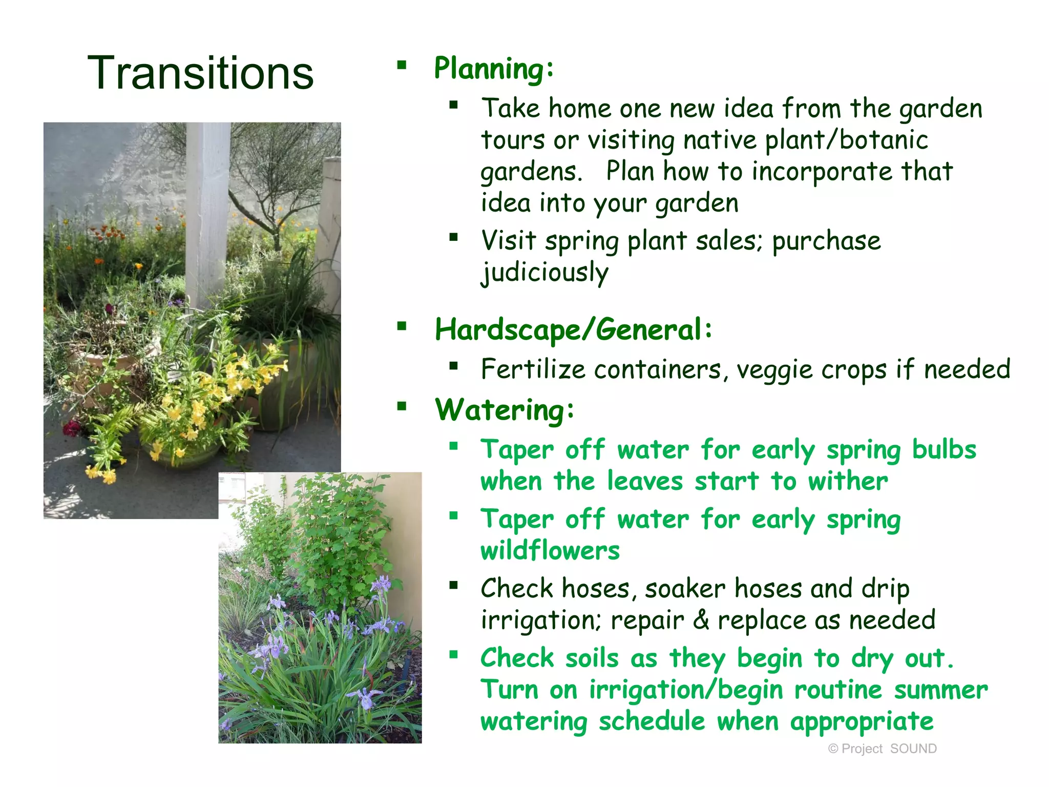 Transitions    Planning:
                  Take home one new idea from the garden
                   tours or visiting native plant/botanic
                   gardens. Plan how to incorporate that
                   idea into your garden
                  Visit spring plant sales; purchase
                   judiciously

               Hardscape/General:
                  Fertilize containers, veggie crops if needed
               Watering:
                  Taper off water for early spring bulbs
                   when the leaves start to wither
                  Taper off water for early spring
                   wildflowers
                  Check hoses, soaker hoses and drip
                   irrigation; repair & replace as needed
                  Check soils as they begin to dry out.
                   Turn on irrigation/begin routine summer
                   watering schedule when appropriate
                                                © Project SOUND
 