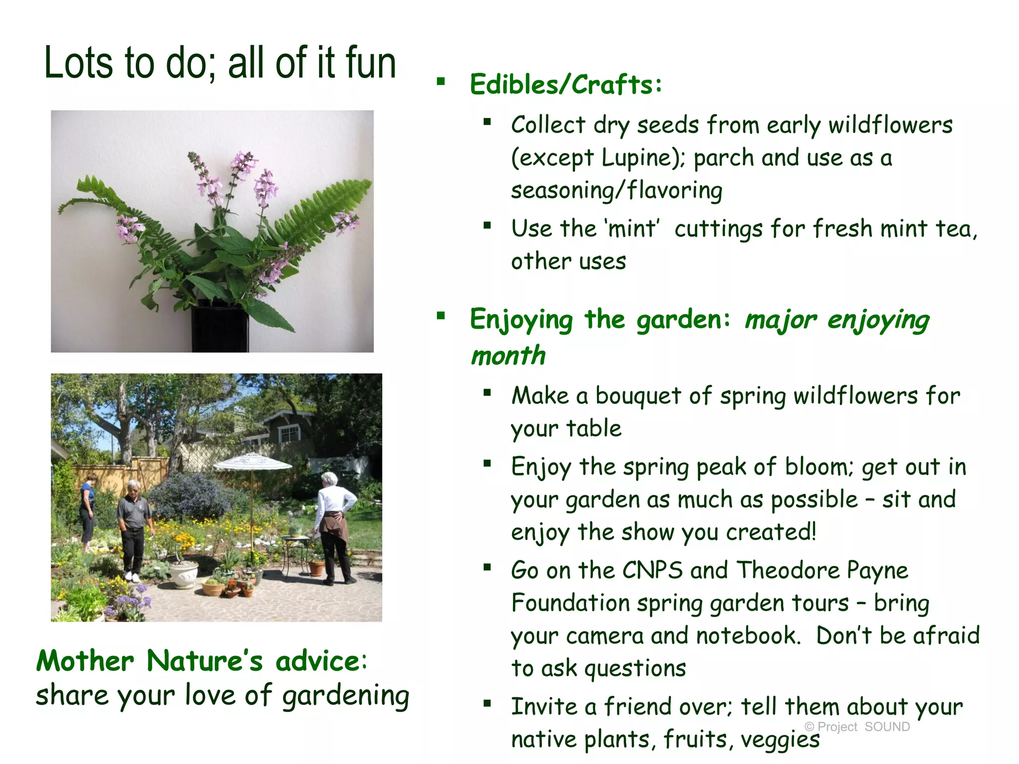 Lots to do; all of it fun       Edibles/Crafts:
                                   Collect dry seeds from early wildflowers
                                    (except Lupine); parch and use as a
                                    seasoning/flavoring
                                   Use the ‘mint’ cuttings for fresh mint tea,
                                    other uses

                                Enjoying the garden: major enjoying
                                 month
                                   Make a bouquet of spring wildflowers for
                                    your table
                                   Enjoy the spring peak of bloom; get out in
                                    your garden as much as possible – sit and
                                    enjoy the show you created!
                                   Go on the CNPS and Theodore Payne
                                    Foundation spring garden tours – bring
                                    your camera and notebook. Don’t be afraid
Mother Nature’s advice:             to ask questions
share your love of gardening       Invite a friend over; tell them about your
                                                                 © Project SOUND
                                    native plants, fruits, veggies
 