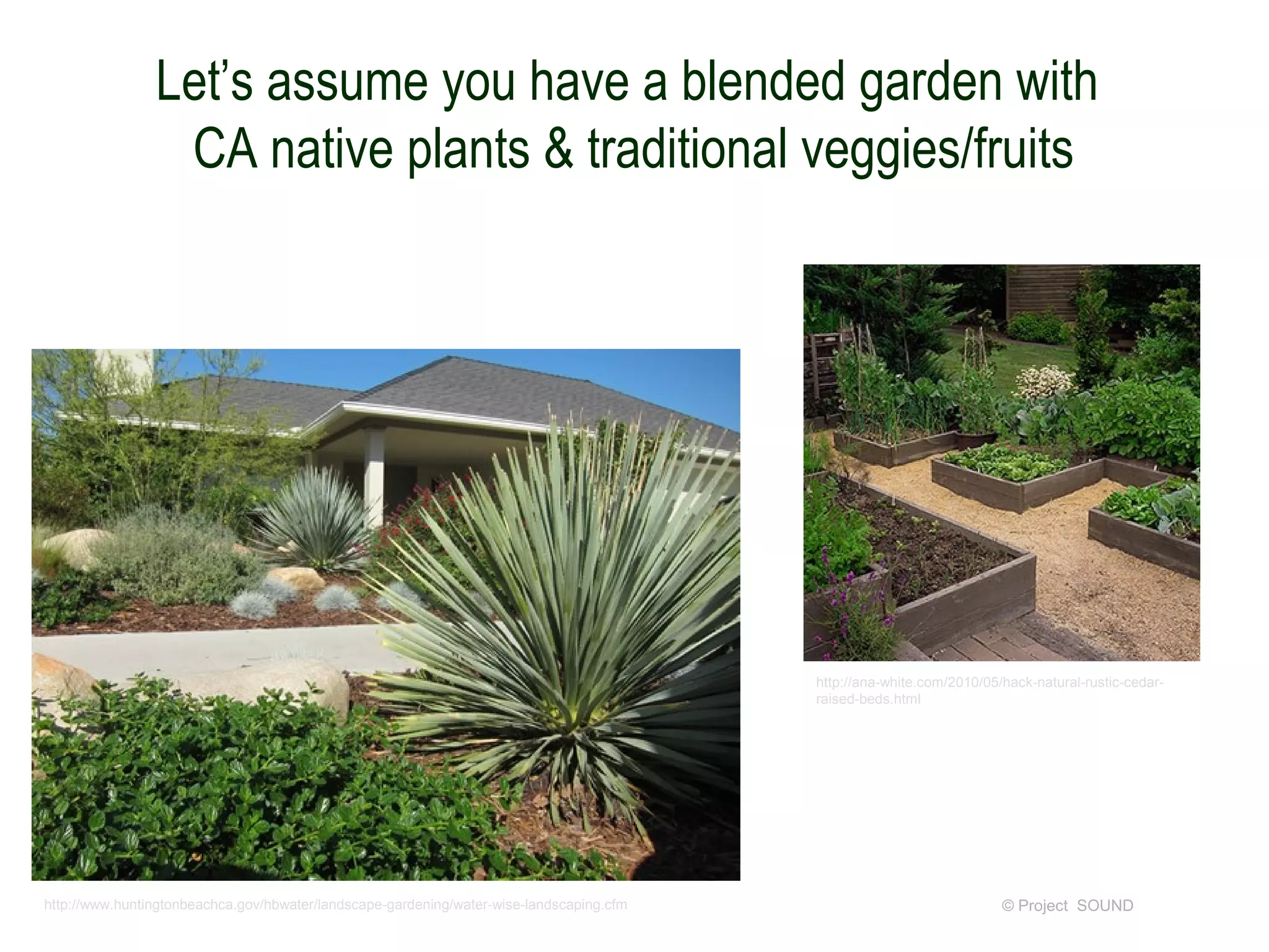 Let’s assume you have a blended garden with
                 CA native plants & traditional veggies/fruits




                                                                                          http://ana-white.com/2010/05/hack-natural-rustic-cedar-
                                                                                          raised-beds.html




http://www.huntingtonbeachca.gov/hbwater/landscape-gardening/water-wise-landscaping.cfm                                © Project SOUND
 