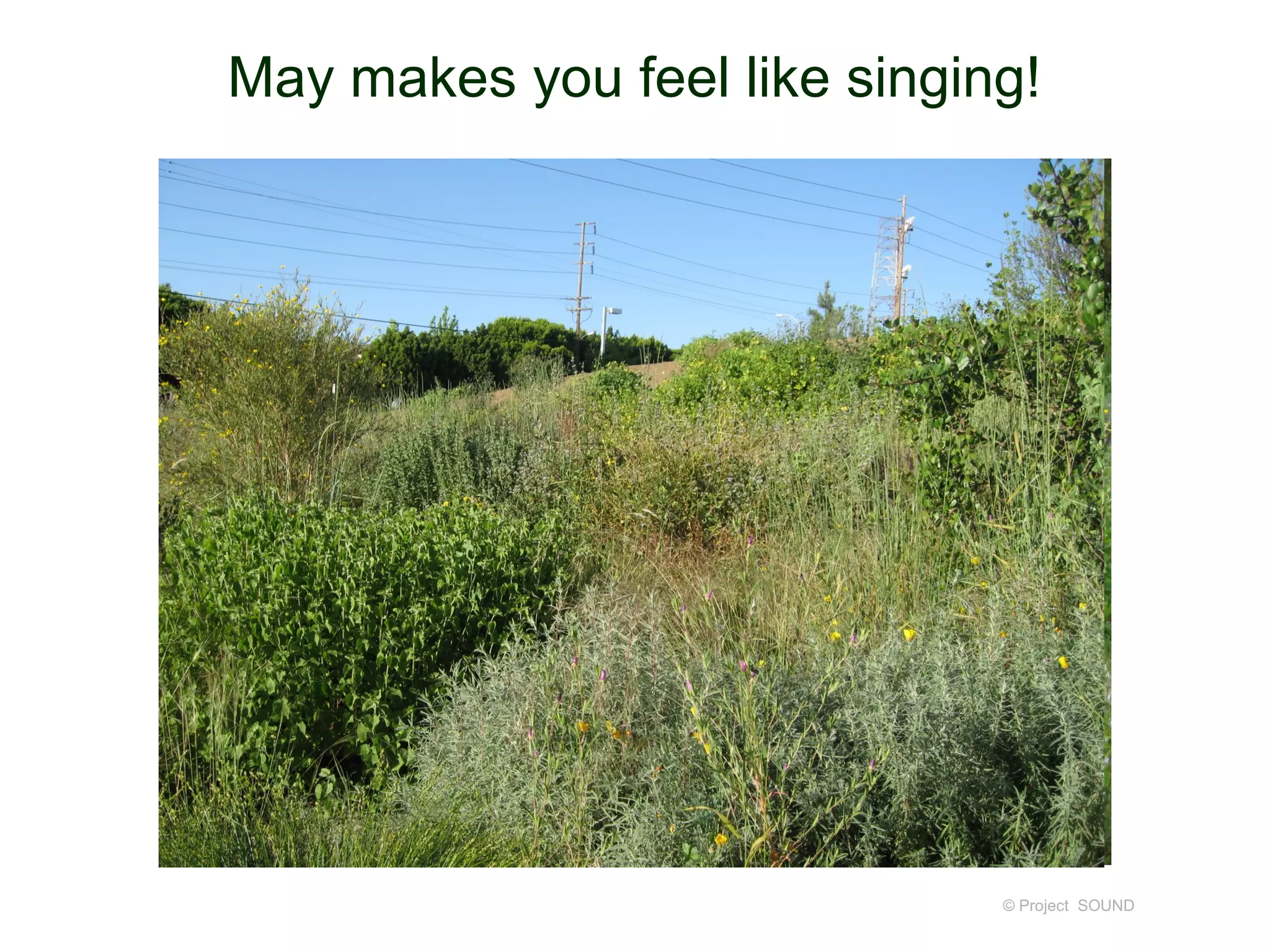 May makes you feel like singing!




                              © Project SOUND
 