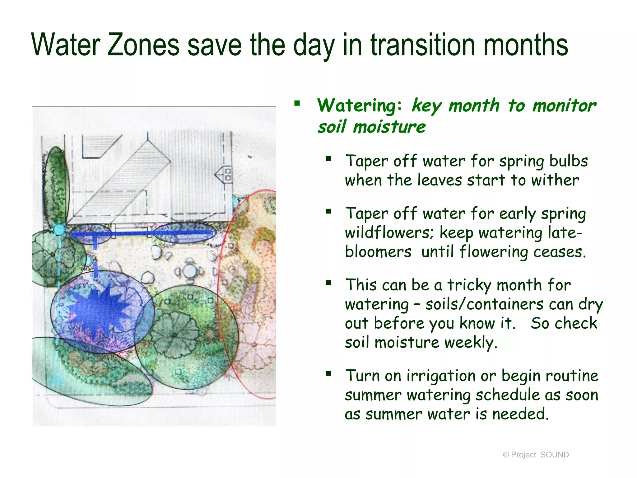 Water Zones save the day in transition months
                      Watering: key month to monitor
                       soil moisture
                         Taper off water for spring bulbs
                          when the leaves start to wither
                         Taper off water for early spring
                          wildflowers; keep watering late-
                          bloomers until flowering ceases.
                         This can be a tricky month for
                          watering – soils/containers can dry
                          out before you know it. So check
                          soil moisture weekly.
                         Turn on irrigation or begin routine
                          summer watering schedule as soon
                          as summer water is needed.

                                                © Project SOUND
 