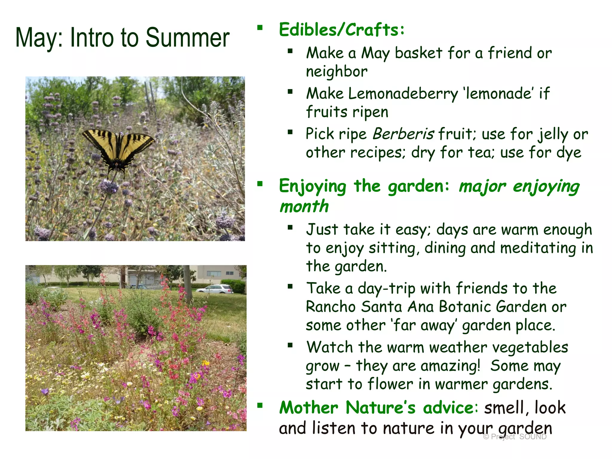  Edibles/Crafts:
May: Intro to Summer        Make a May basket for a friend or
                             neighbor
                            Make Lemonadeberry ‘lemonade’ if
                             fruits ripen
                            Pick ripe Berberis fruit; use for jelly or
                             other recipes; dry for tea; use for dye

                        Enjoying the garden: major enjoying
                         month
                            Just take it easy; days are warm enough
                             to enjoy sitting, dining and meditating in
                             the garden.
                            Take a day-trip with friends to the
                             Rancho Santa Ana Botanic Garden or
                             some other ‘far away’ garden place.
                            Watch the warm weather vegetables
                             grow – they are amazing! Some may
                             start to flower in warmer gardens.
                        Mother Nature’s advice: smell, look
                         and listen to nature in yourProject SOUND
                                                    ©
                                                       garden
 