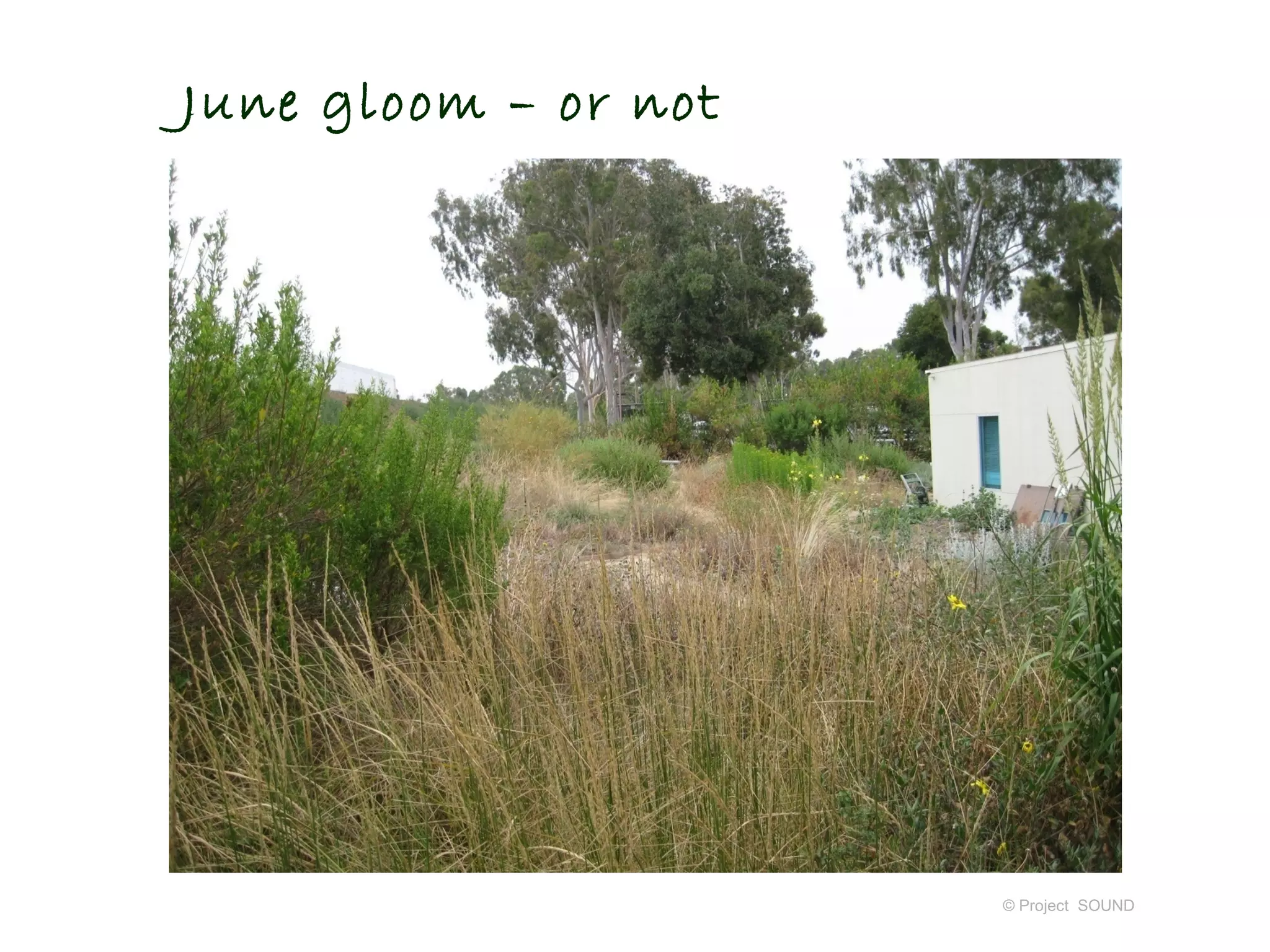 June gloom – or not




                      © Project SOUND
 