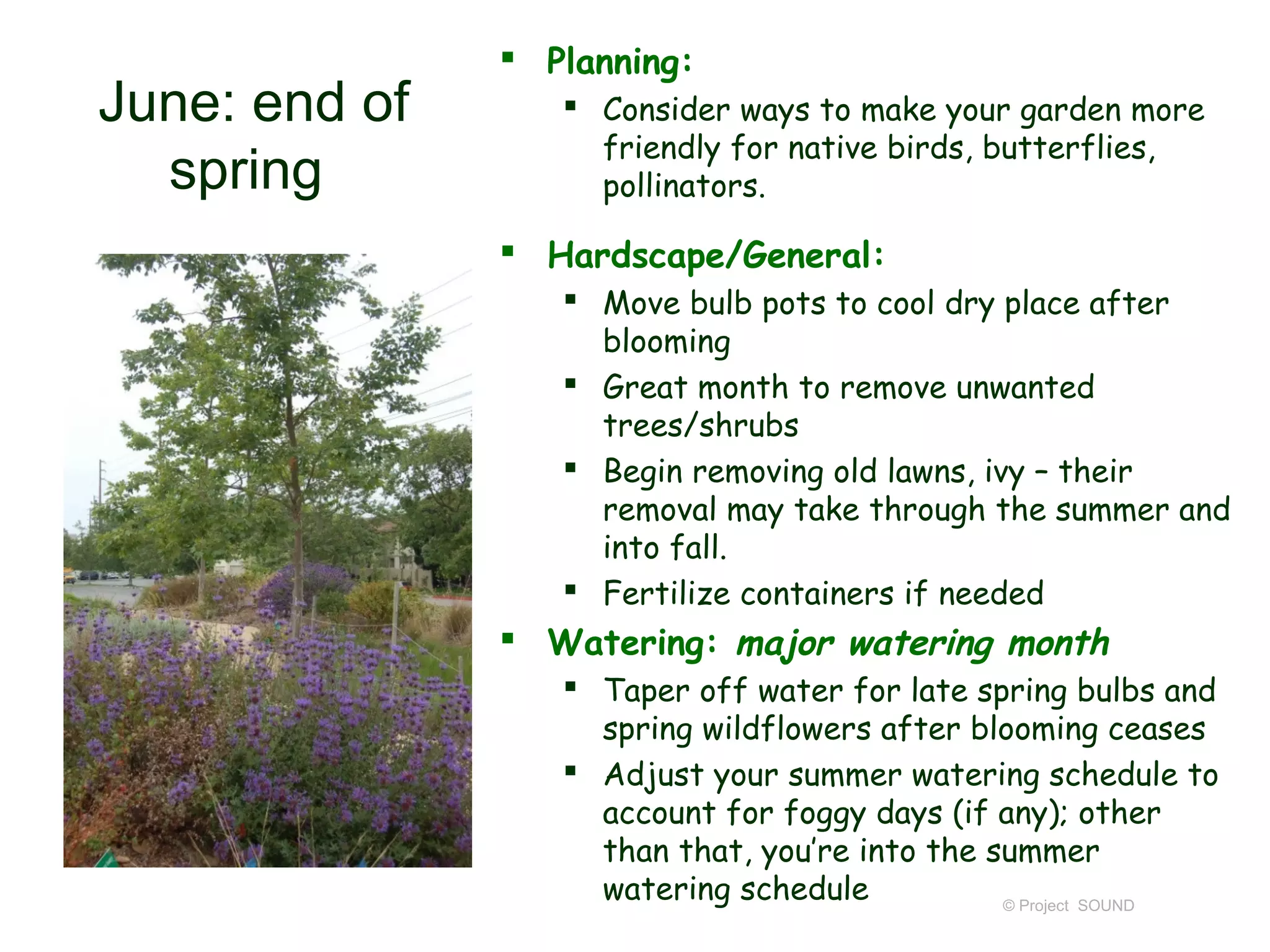  Planning:
June: end of       Consider ways to make your garden more
                    friendly for native birds, butterflies,
  spring            pollinators.

                Hardscape/General:
                   Move bulb pots to cool dry place after
                    blooming
                   Great month to remove unwanted
                    trees/shrubs
                   Begin removing old lawns, ivy – their
                    removal may take through the summer and
                    into fall.
                   Fertilize containers if needed
                Watering: major watering month
                   Taper off water for late spring bulbs and
                    spring wildflowers after blooming ceases
                   Adjust your summer watering schedule to
                    account for foggy days (if any); other
                    than that, you’re into the summer
                    watering schedule           © Project SOUND
 