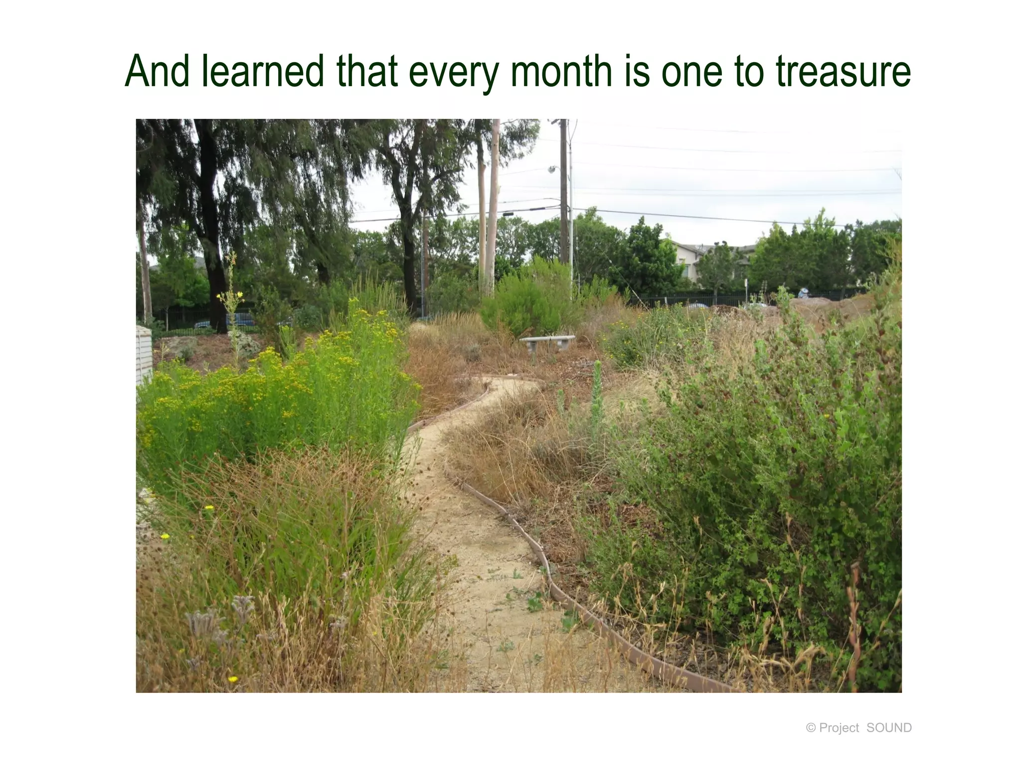 And learned that every month is one to treasure




                                        © Project SOUND
 