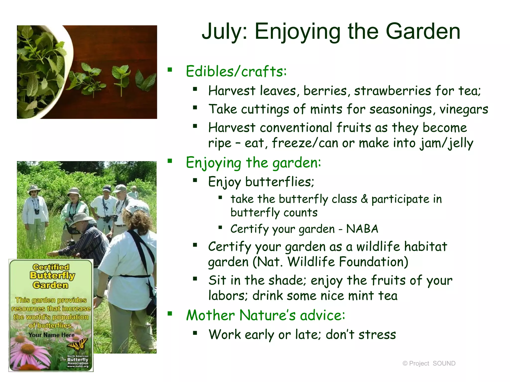 July: Enjoying the Garden
 Edibles/crafts:
    Harvest leaves, berries, strawberries for tea;
    Take cuttings of mints for seasonings, vinegars
    Harvest conventional fruits as they become
     ripe – eat, freeze/can or make into jam/jelly
 Enjoying the garden:
    Enjoy butterflies;
        take the butterfly class & participate in
         butterfly counts
        Certify your garden - NABA
    Certify your garden as a wildlife habitat
     garden (Nat. Wildlife Foundation)
    Sit in the shade; enjoy the fruits of your
     labors; drink some nice mint tea
 Mother Nature’s advice:
    Work early or late; don’t stress

                                          © Project SOUND
 