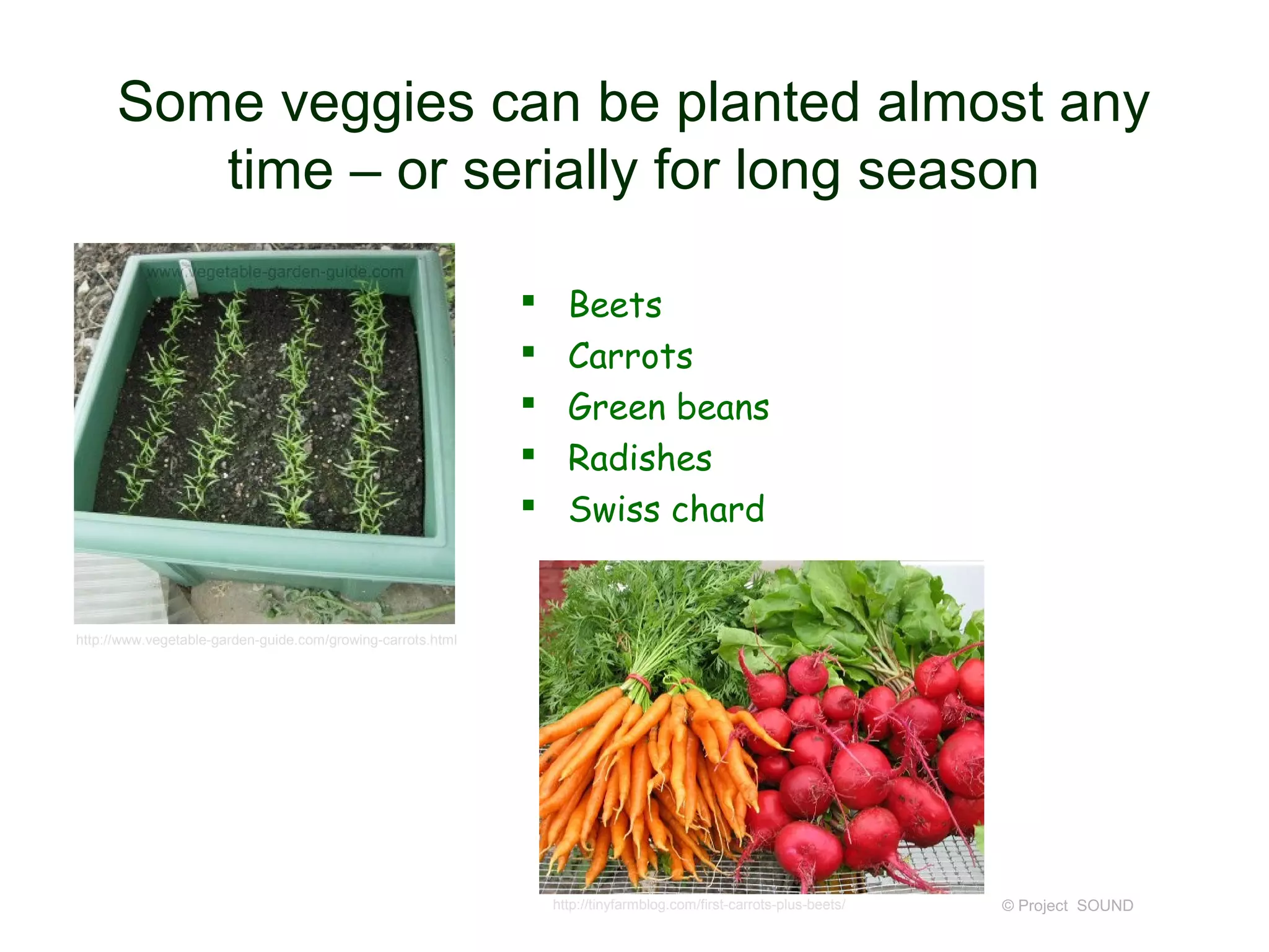 Some veggies can be planted almost any
         time – or serially for long season

                                                                  Beets
                                                                  Carrots
                                                                  Green beans
                                                                  Radishes
                                                                  Swiss chard


http://www.vegetable-garden-guide.com/growing-carrots.html




                                                                 http://tinyfarmblog.com/first-carrots-plus-beets/   © Project SOUND
 