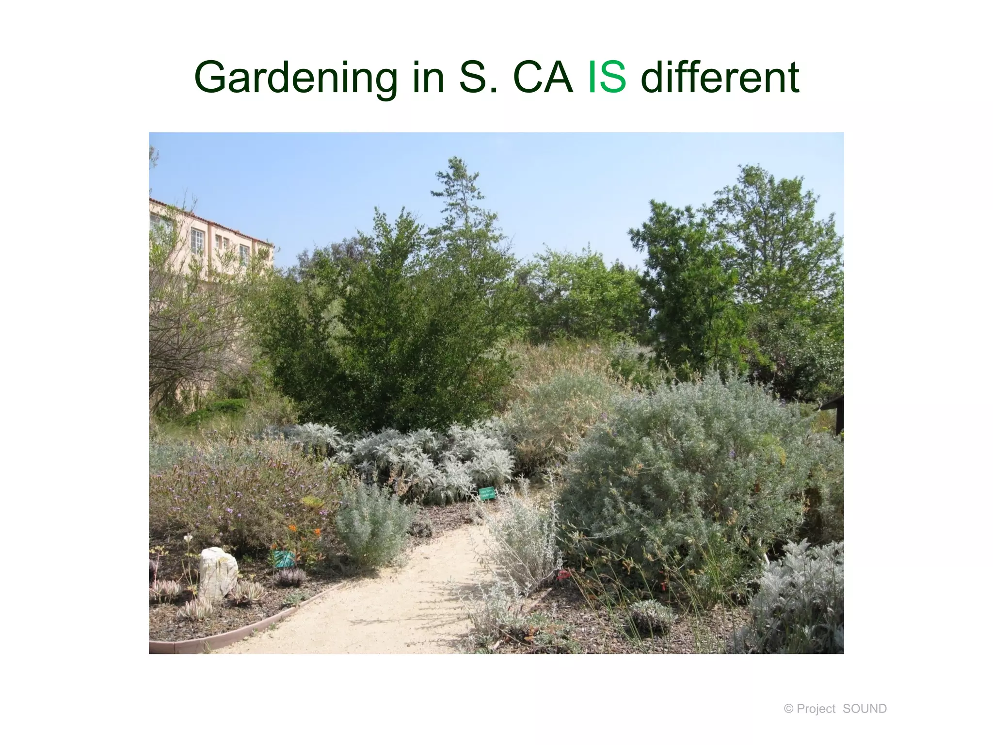 Gardening in S. CA IS different




                              © Project SOUND
 