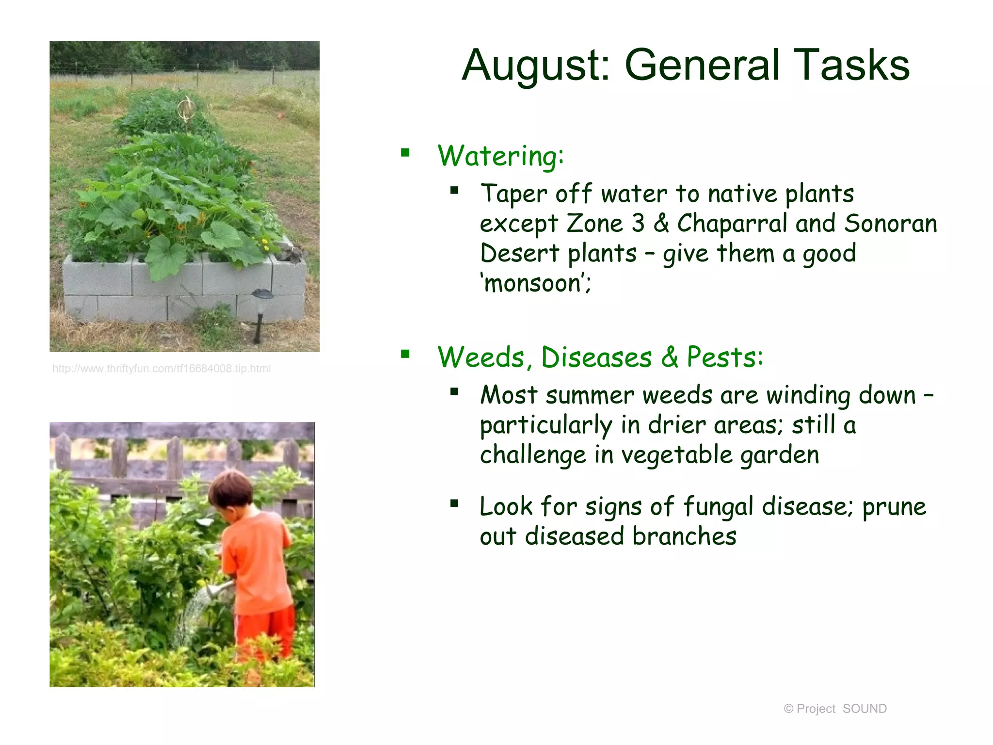 August: General Tasks
                                                 Watering:
                                                    Taper off water to native plants
                                                     except Zone 3 & Chaparral and Sonoran
                                                     Desert plants – give them a good
                                                     ‘monsoon’;


http://www.thriftyfun.com/tf16684008.tip.html
                                                 Weeds, Diseases & Pests:
                                                    Most summer weeds are winding down –
                                                     particularly in drier areas; still a
                                                     challenge in vegetable garden
                                                    Look for signs of fungal disease; prune
                                                     out diseased branches




                                                                               © Project SOUND
 