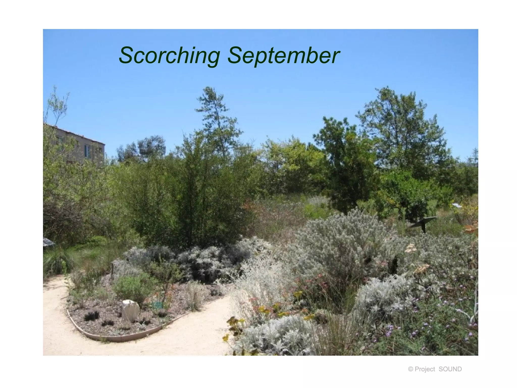 Scorching September




                      © Project SOUND
 