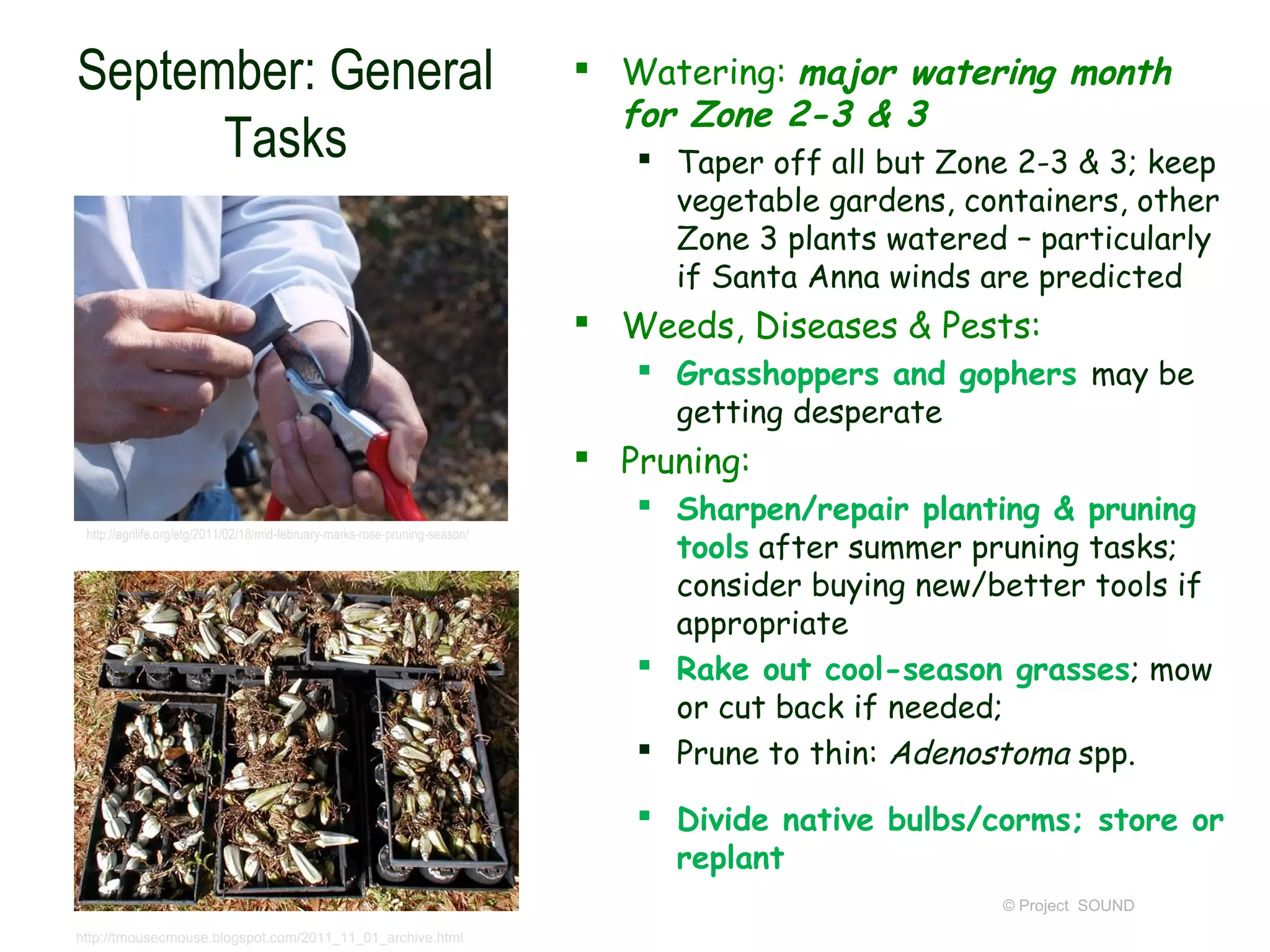 September: General                                                             Watering: major watering month
                                                                                for Zone 2-3 & 3
      Tasks                                                                       Taper off all but Zone 2-3 & 3; keep
                                                                                   vegetable gardens, containers, other
                                                                                   Zone 3 plants watered – particularly
                                                                                   if Santa Anna winds are predicted
                                                                               Weeds, Diseases & Pests:
                                                                                  Grasshoppers and gophers may be
                                                                                   getting desperate
                                                                               Pruning:
                                                                                  Sharpen/repair planting & pruning
                                                                                   tools after summer pruning tasks;
 http://agrilife.org/etg/2011/02/18/mid-february-marks-rose-pruning-season/



                                                                                   consider buying new/better tools if
                                                                                   appropriate
                                                                                  Rake out cool-season grasses; mow
                                                                                   or cut back if needed;
                                                                                  Prune to thin: Adenostoma spp.

                                                                                  Divide native bulbs/corms; store or
                                                                                   replant
                                                                                                        © Project SOUND
http://tmousecmouse.blogspot.com/2011_11_01_archive.html
 