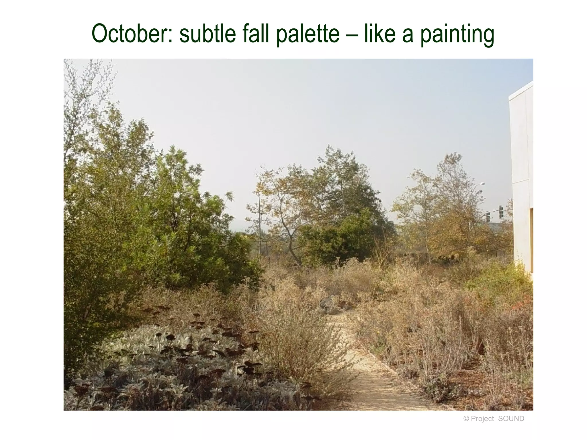 October: subtle fall palette – like a painting




                                          © Project SOUND
 