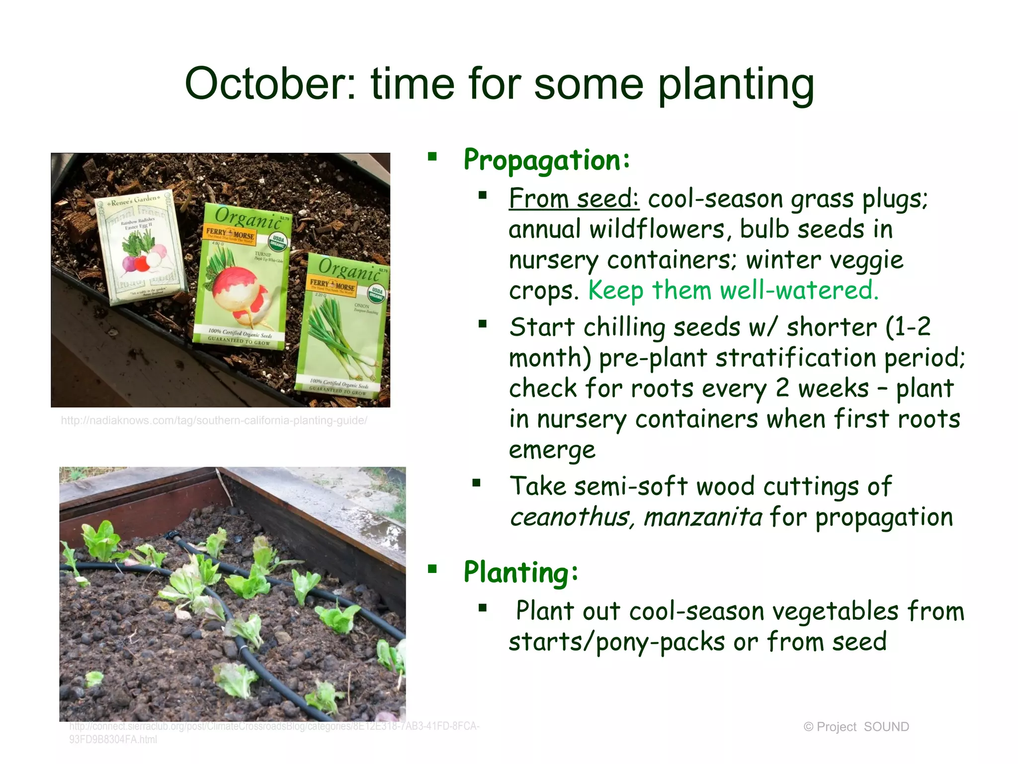 October: time for some planting
                                                                                 Propagation:
                                                                                            From seed: cool-season grass plugs;
                                                                                             annual wildflowers, bulb seeds in
                                                                                             nursery containers; winter veggie
                                                                                             crops. Keep them well-watered.
                                                                                            Start chilling seeds w/ shorter (1-2
                                                                                             month) pre-plant stratification period;
                                                                                             check for roots every 2 weeks – plant
http://nadiaknows.com/tag/southern-california-planting-guide/                                in nursery containers when first roots
                                                                                             emerge
                                                                                           Take semi-soft wood cuttings of
                                                                                             ceanothus, manzanita for propagation

                                                                                 Planting:
                                                                                                Plant out cool-season vegetables from
                                                                                                starts/pony-packs or from seed


 http://connect.sierraclub.org/post/ClimateCrossroadsBlog/categories/8E12E318-7AB3-41FD-8FCA-                           © Project SOUND
 93FD9B8304FA.html
 