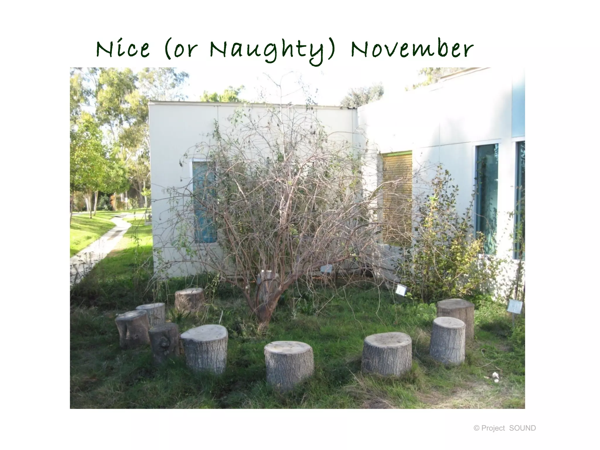 Nice (or Naughty) November




                             © Project SOUND
 