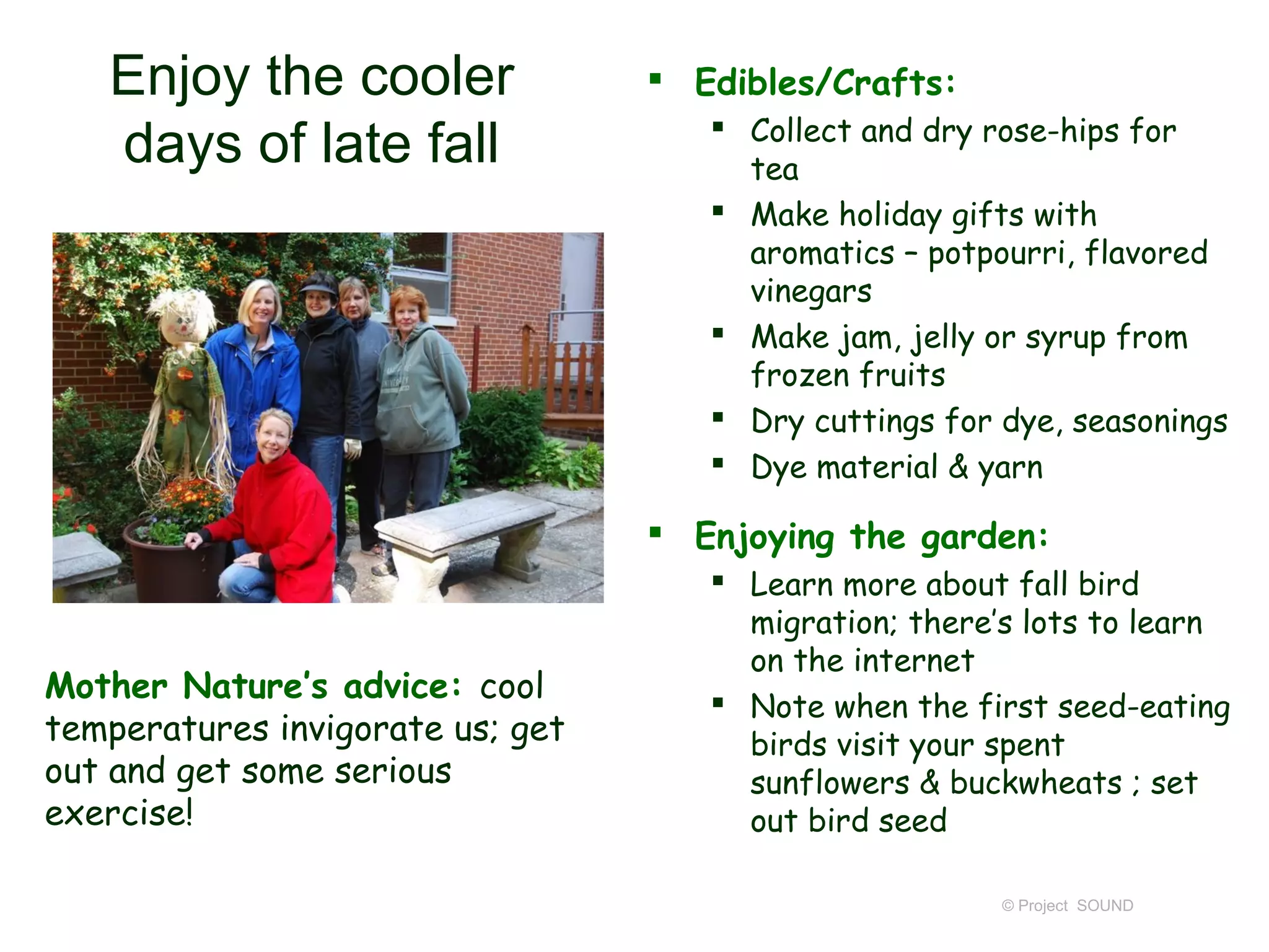 Enjoy the cooler                Edibles/Crafts:
                                      Collect and dry rose-hips for
   days of late fall                   tea
                                      Make holiday gifts with
                                       aromatics – potpourri, flavored
                                       vinegars
                                      Make jam, jelly or syrup from
                                       frozen fruits
                                      Dry cuttings for dye, seasonings
                                      Dye material & yarn

                                   Enjoying the garden:
                                      Learn more about fall bird
                                       migration; there’s lots to learn
                                       on the internet
Mother Nature’s advice: cool          Note when the first seed-eating
temperatures invigorate us; get        birds visit your spent
out and get some serious               sunflowers & buckwheats ; set
exercise!                              out bird seed

                                                        © Project SOUND
 