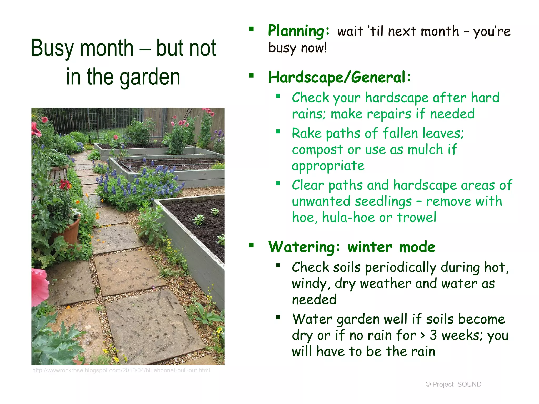  Planning: wait ’til next month – you’re
Busy month – but not                                                  busy now!

   in the garden                                                    Hardscape/General:
                                                                        Check your hardscape after hard
                                                                         rains; make repairs if needed
                                                                        Rake paths of fallen leaves;
                                                                         compost or use as mulch if
                                                                         appropriate
                                                                        Clear paths and hardscape areas of
                                                                         unwanted seedlings – remove with
                                                                         hoe, hula-hoe or trowel

                                                                    Watering: winter mode
                                                                        Check soils periodically during hot,
                                                                         windy, dry weather and water as
                                                                         needed
                                                                        Water garden well if soils become
                                                                         dry or if no rain for > 3 weeks; you
                                                                         will have to be the rain
http://wwwrockrose.blogspot.com/2010/04/bluebonnet-pull-out.html

                                                                                               © Project SOUND
 